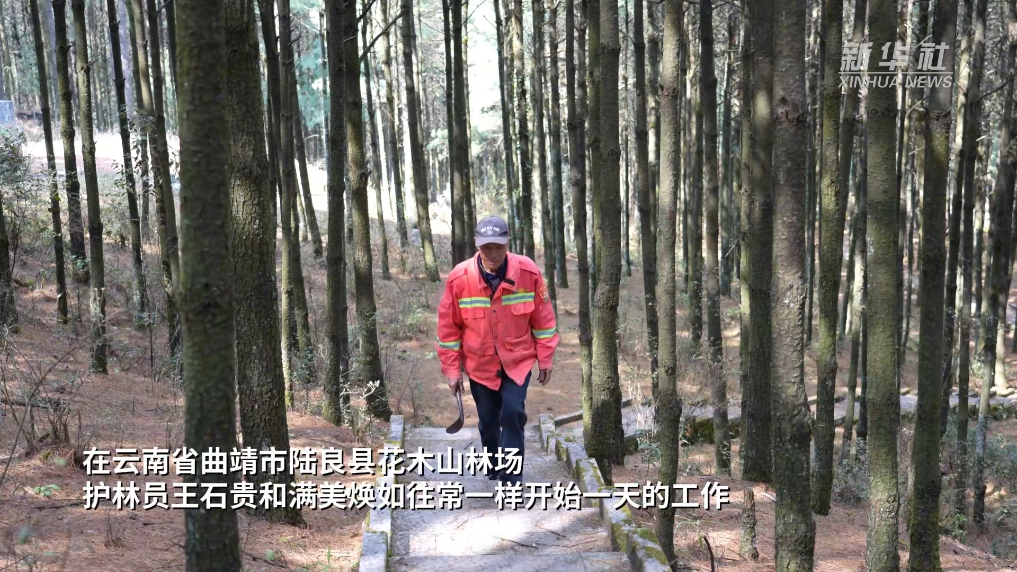 一对林场夫妻26年的“绿色坚守”